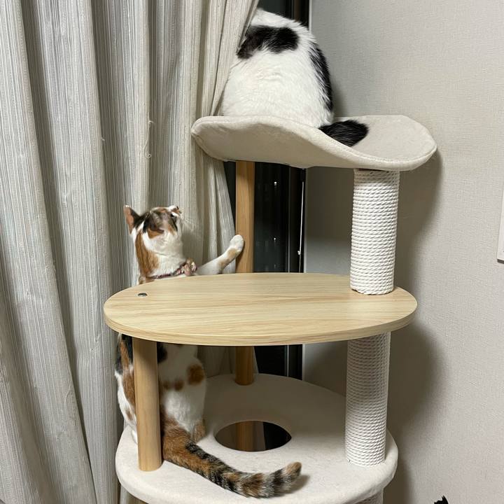 E4232a82 bac4 4086 80ca 0b196f28101b 1632834564472