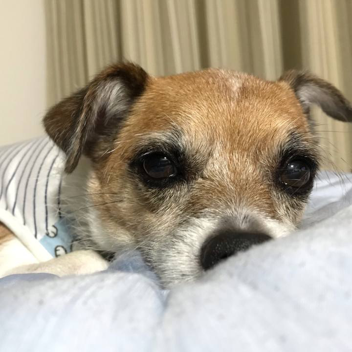 E42343f6 2b6b 41af aac9 c96e261463f5 1570366823624