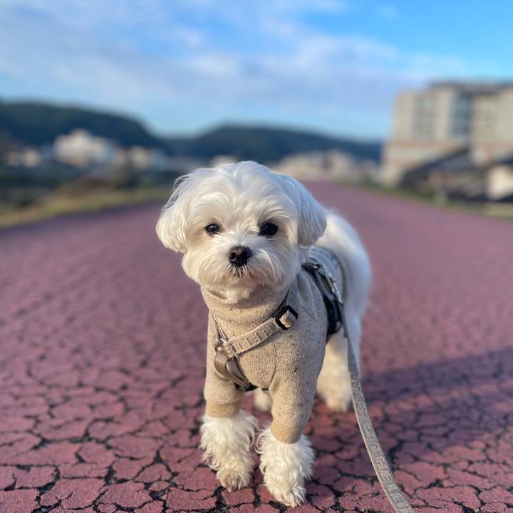 E423472a 5d8f 49ea a9d7 02208f20b0b3 1762814260565