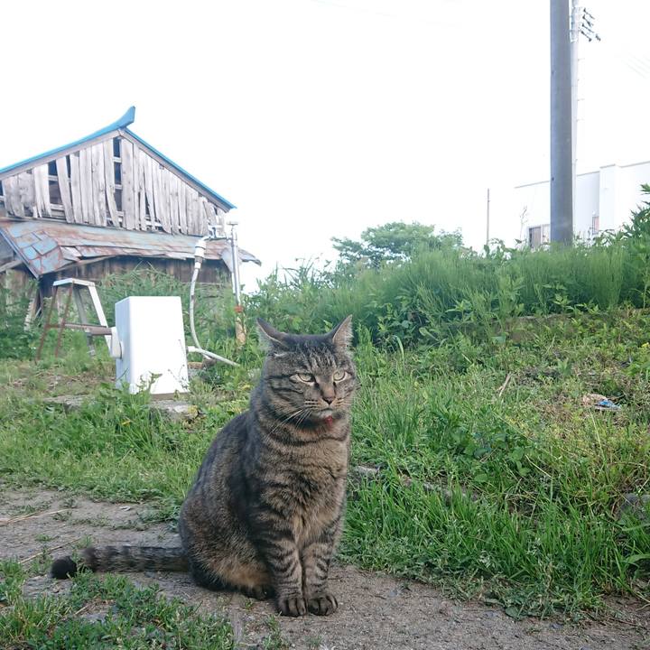 E42368da ea65 43c4 85b3 f8abe4aa71e6 1655109678487