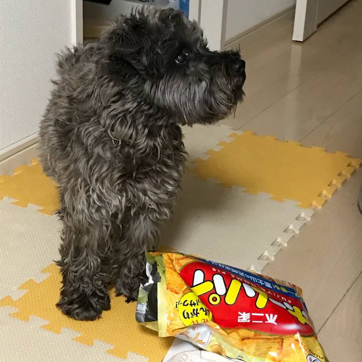 E4238b10 283b 4f5b bc95 bdaded1ae335 1511004020788