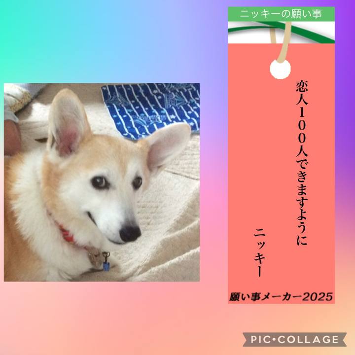 E423b224 5bd4 4588 bcf6 244d0fc23808 1751881526975