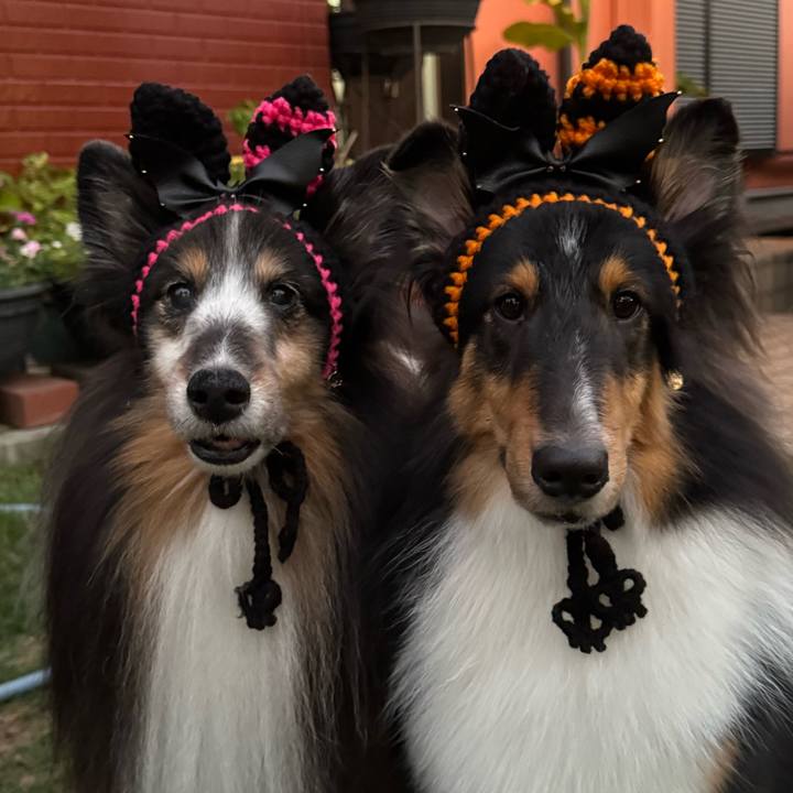 E423bcef b801 4495 bfc8 251a4442ad26 1759856029184