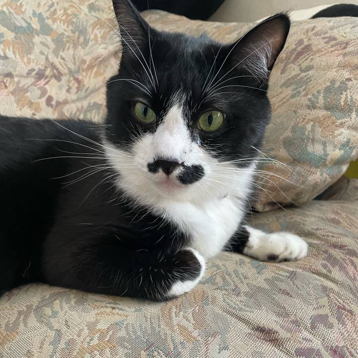 E423d805 1957 47d8 8f3f d193e8059680 1681868430979