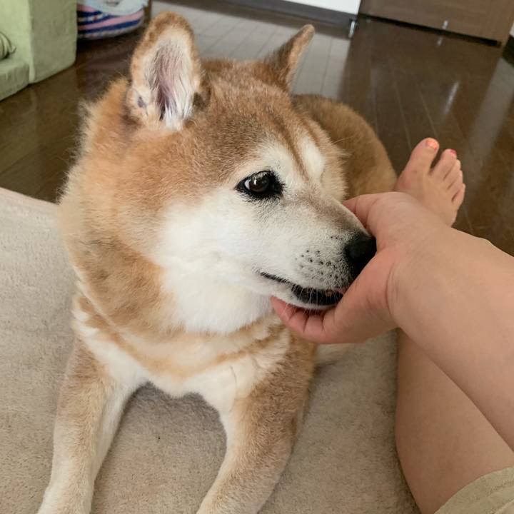 E4240e35 083b 4474 8077 e00906378952 1564279394240