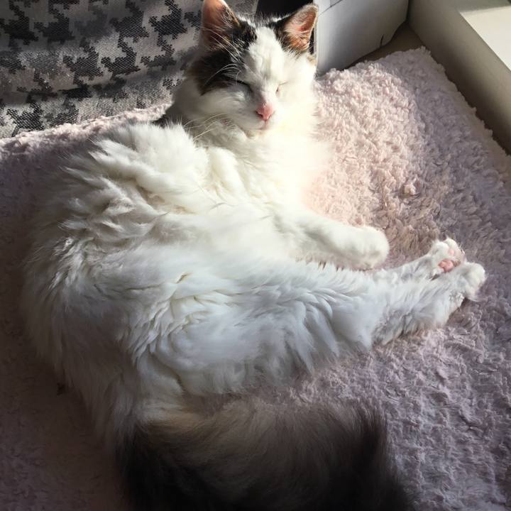 E4242f7a 9e99 4dc0 808e 3c524ccbc2b7 1573280262432