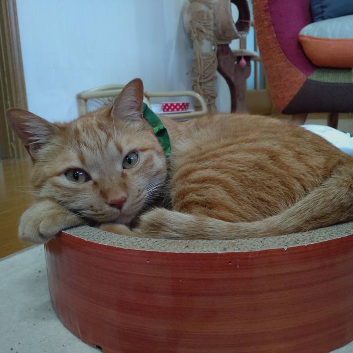 E4243a12 f297 4170 ac0d 337405eae347 1642843284116