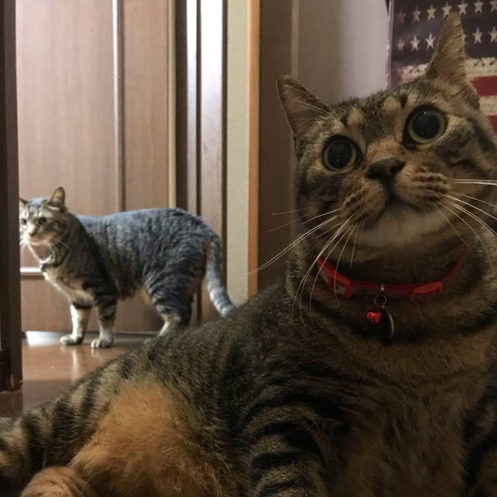 E4244506 6b52 458f a042 0b568e010f11 1622295497560