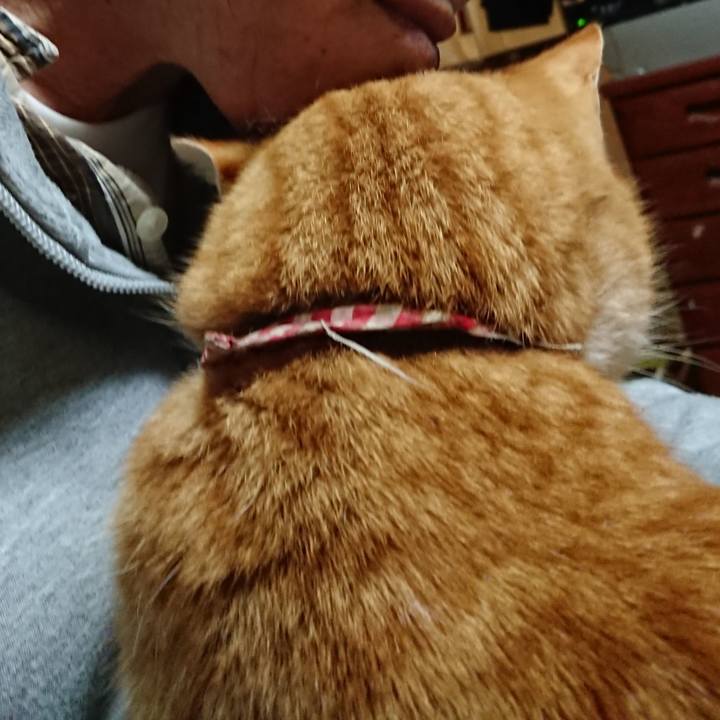 E42475e4 8a43 484f 874b c7ae8cb9d1c1 1608325614176