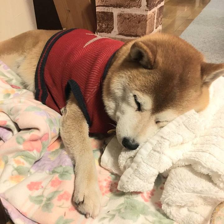 E4248a51 d68a 44e9 859f 1569eefe5e73 1609410821935