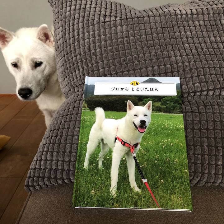 E4249565 3b9b 4651 bf5c 4296f1c52ce7 1531029316414