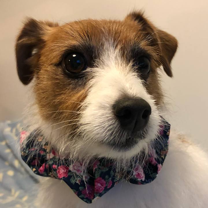 E424b84d c9b3 48a6 a7c7 f486d629e43c 1588730438311