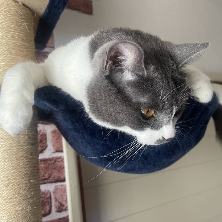 E424c43e 542e 4a8a b350 8b7a439ffc5d 1624600617992