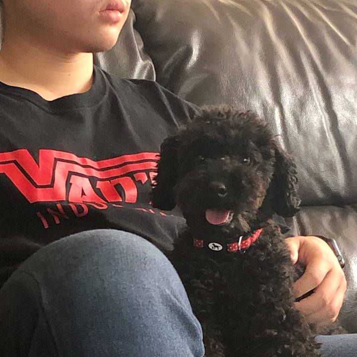 E42503a8 a7e2 420c 9e31 a669b0b5f06a 1556858098072