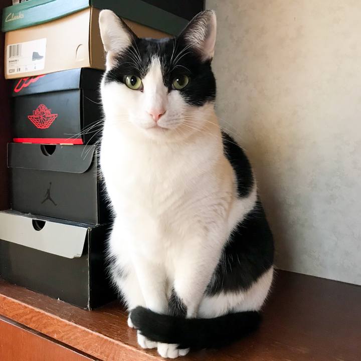 E4251d4e 9f8e 466a 9bb0 ea95c751b838 1517532418068