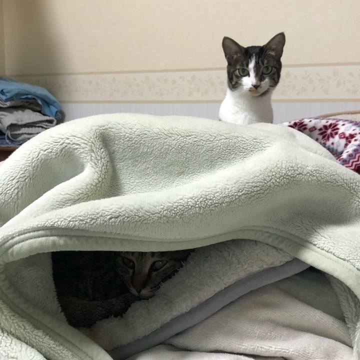 E4256ddc a1ed 4ca2 a865 59aeef700a56 1603020357984