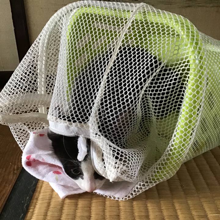 E4258d21 1ea0 4575 bc03 a7920263653e 1623728373641