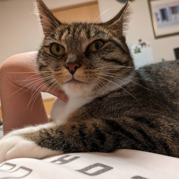 E4258f6d 3f8b 485e b48b 54b6aeda542a 1700482330447