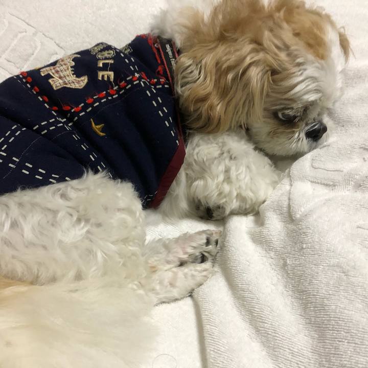 E425ff8d d21e 4378 b00d 2afc1ffc0a06 1604527102201