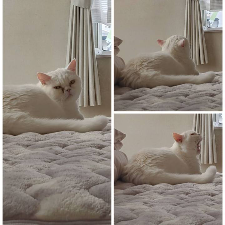 E4261e40 cb8d 4fde 975a db5913a763ff 1636249910801