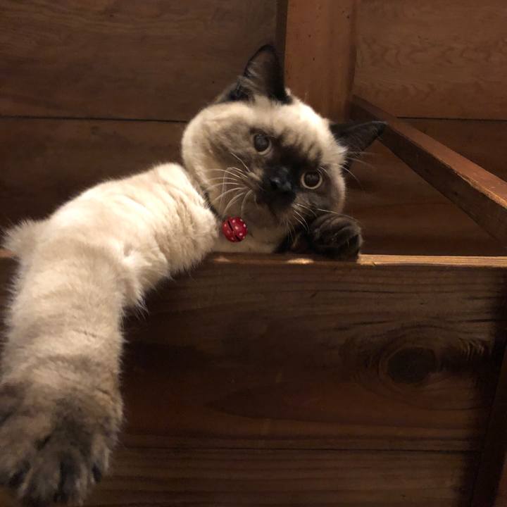 E4261e6b 0327 4fc9 be72 0c15613eb4b9 1595808211841