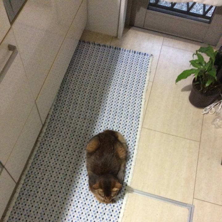 E4262e2d b537 471f 95c4 0f787c1415bf 1568199908969