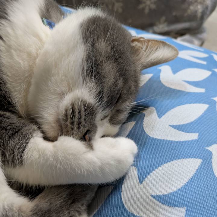 E4264fd1 fd15 4e35 83f5 5f42a87257a0 1771854915595