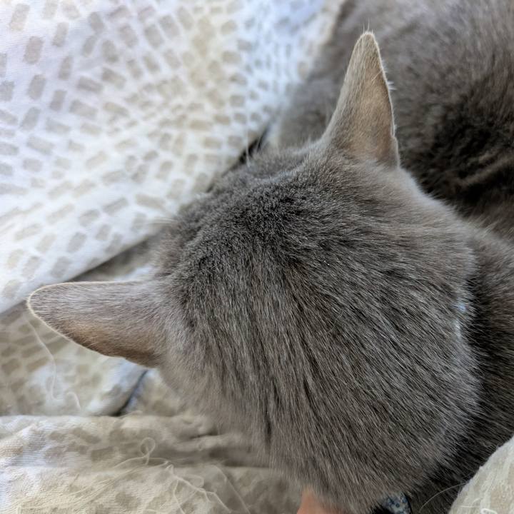 E426839f 1e26 4096 9897 d18ed25b4d0f 1741488115951