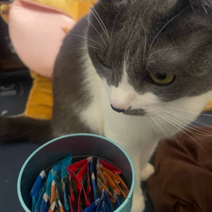 E426c248 e262 461e a39f 6695ba708a3c 1736924381563