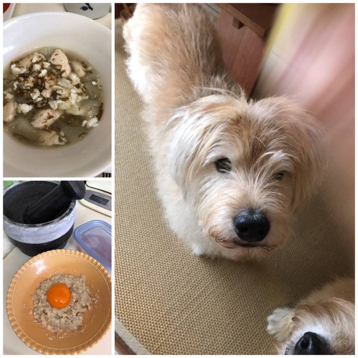 E426e53e 2644 46f8 bcc8 f20ef25f2291 1635043634692