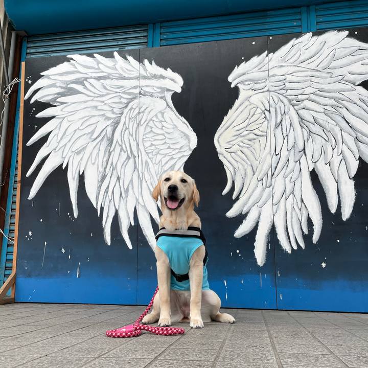 E426fb05 492e 49c7 8b77 83108f31fe4d 1622154417636