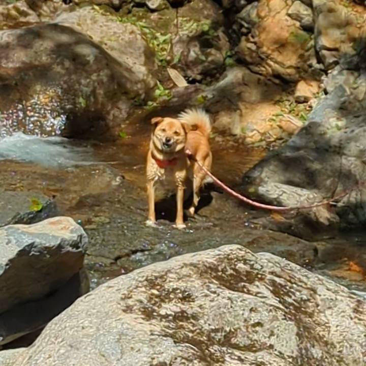 E4270b3b 4c1d 4e3c b997 31478303effc 1662892353458