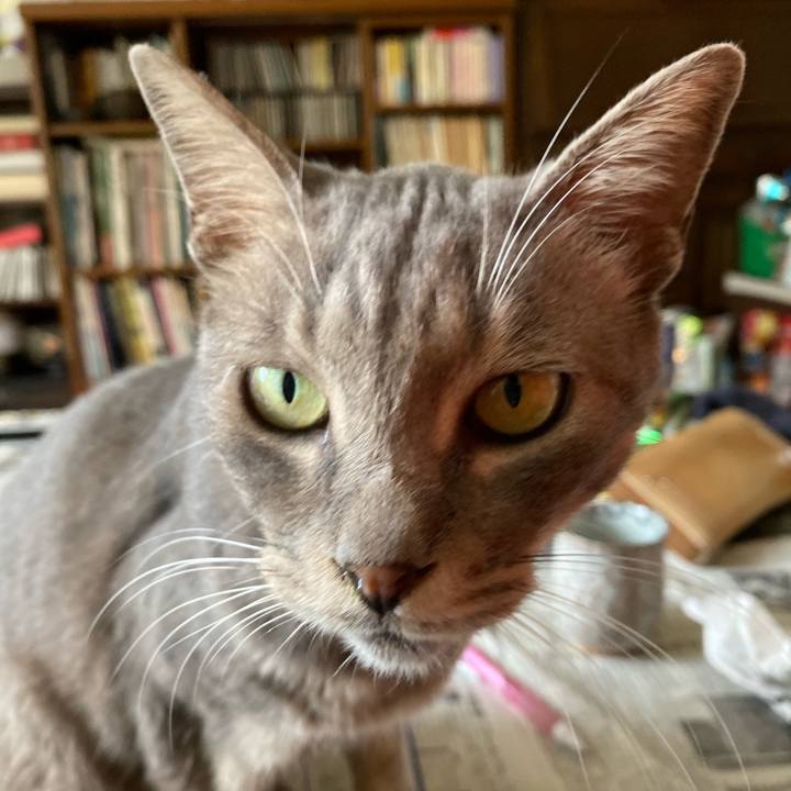 E4271970 1fff 4fcc ac88 9e80f3ab54c5 1572329160814