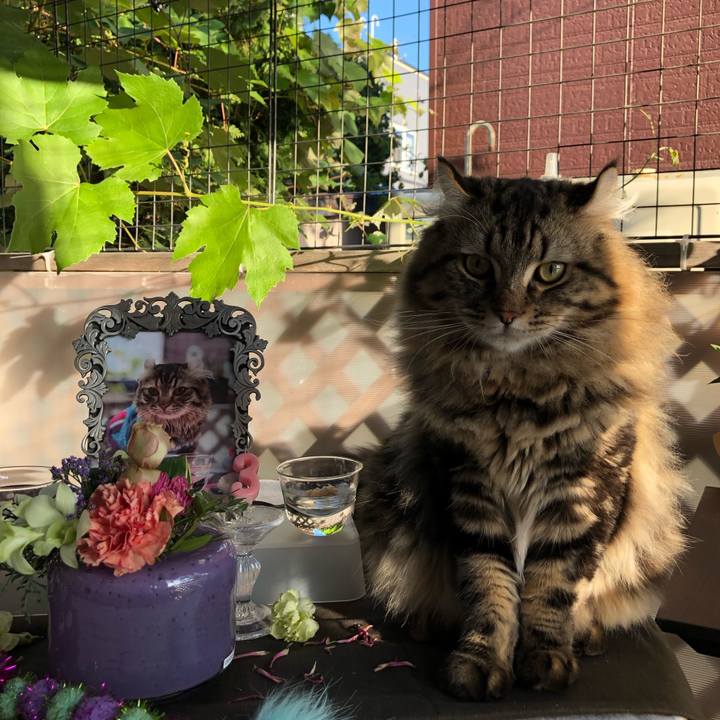 E4271c8d 76a8 4bc3 936e f5dfe1b9b754 1569417286984