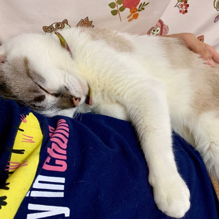 E4272b93 686f 4db5 ad0e c99881411f5a 1568422047227