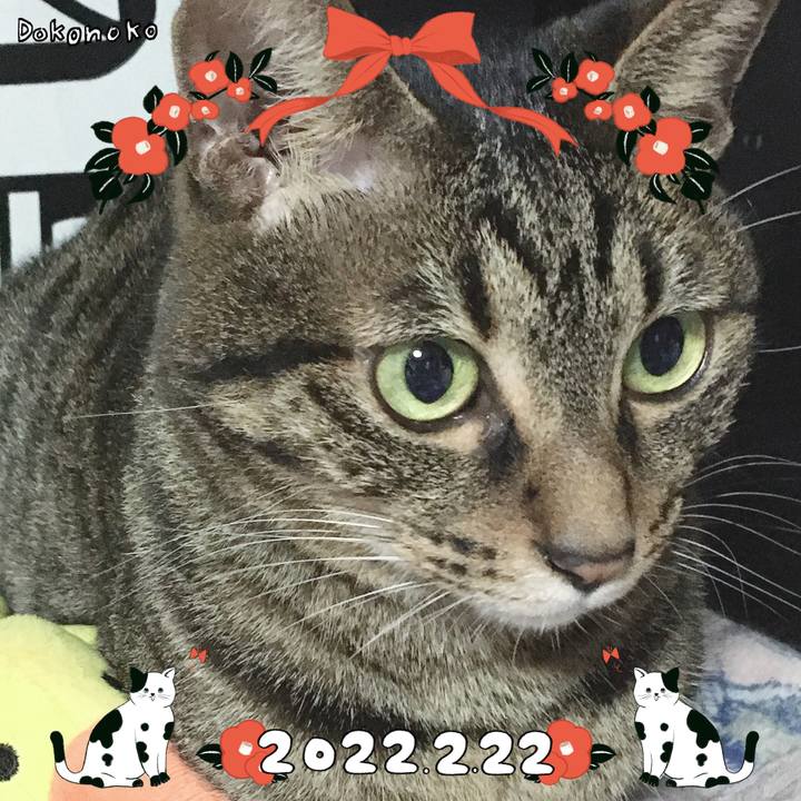 E4273e2d 318c 4776 9c44 2779fa9e6c2a 1645532055552