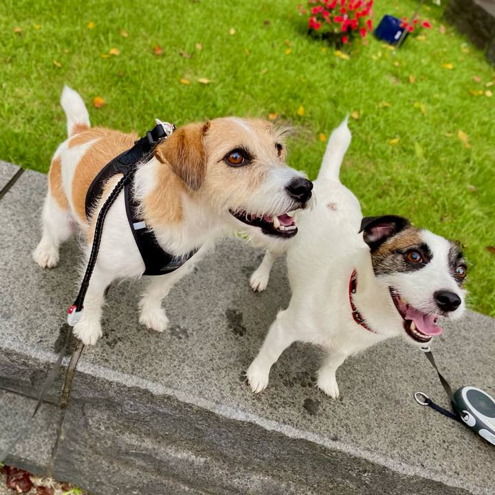 E42775e3 ae23 4c6a 8a70 492d1732d19f 1631107192620