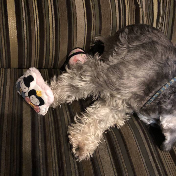 E4277b7d 7a93 4f1e 9317 c65565912d63 1551957715838