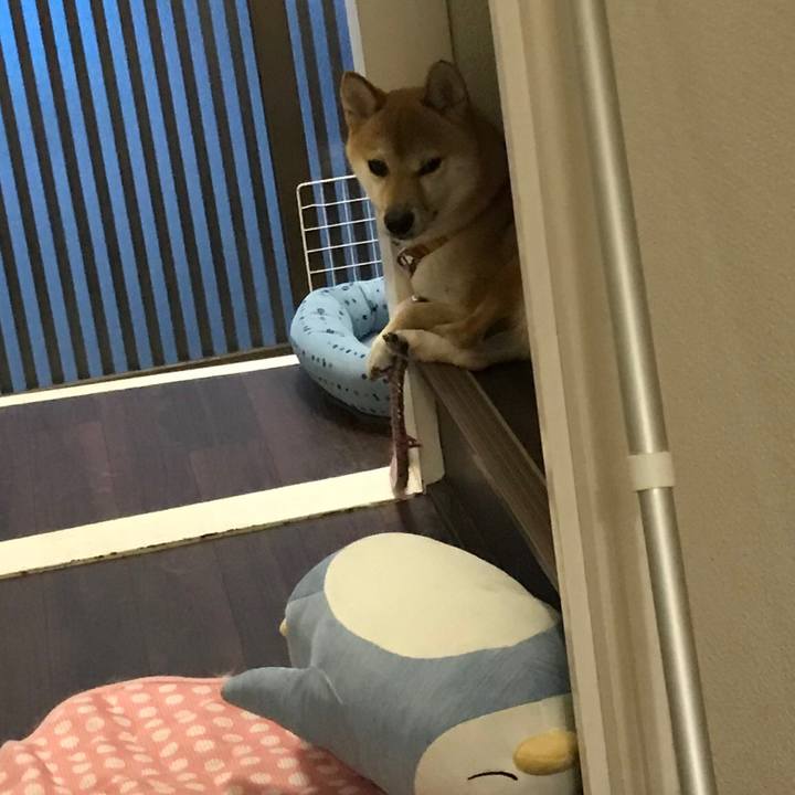 E427884a d711 4da4 a945 e5f64e487acc 1535795482525