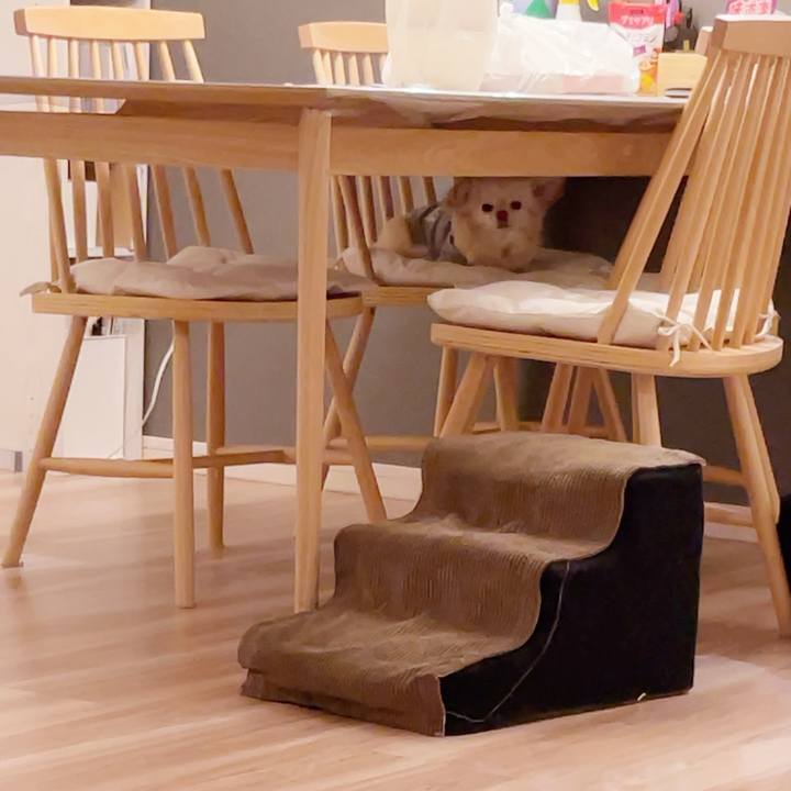 E4279f07 4b4d 44de b9b4 94f28fb658d7 1747058324241