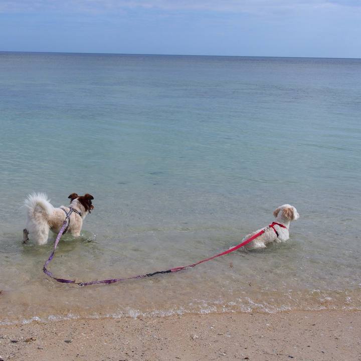 E427c38e a3b4 4956 989c d501e73e26a4 1526567608672