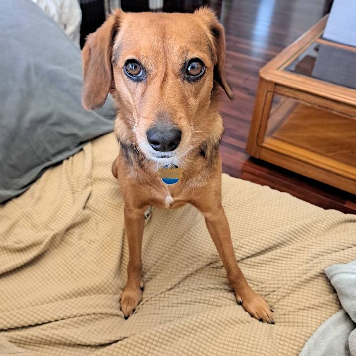 E427d46e 024a 426b bf8e 85455e9db94a 1764712317345