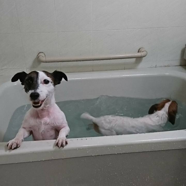 E4283c54 99b1 4e0f 873d cd5180d2dc6d 1546170881519