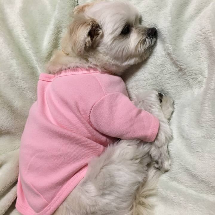 E428612b 6911 4500 ab53 7d79a25b3a41 1518610895375