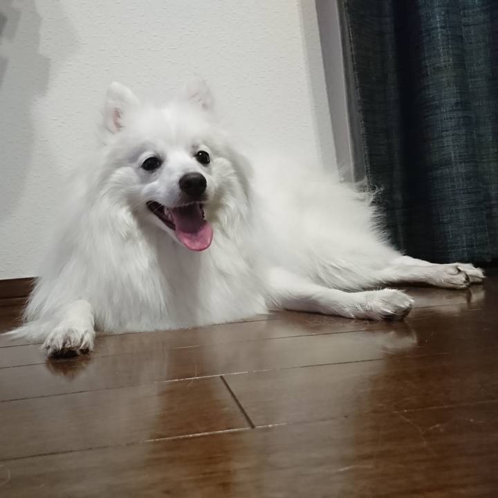 E428835a 91ea 4ad6 9238 67b43aa48ba7 1586338073683