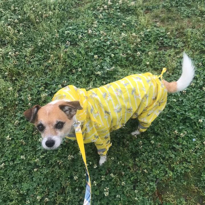 E428ed2d b253 474b b746 065116822706 1560124840940