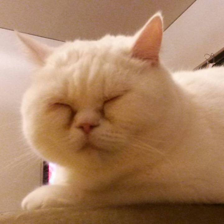 E428f61b f759 4d52 9990 23b917d6789f 1514722906511