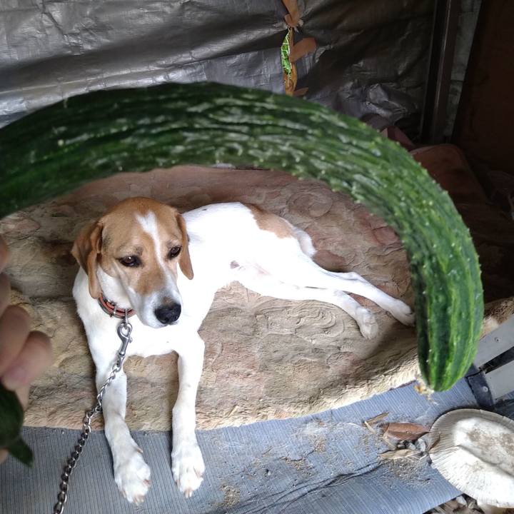 E428fb5e d187 4e00 9e6a 1de2e1820cd4 1656327038385