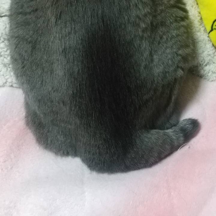 E4294712 f17b 4b64 9c74 1a8906592181 1675783528817