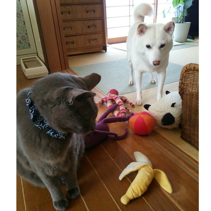 E4294d07 0e65 4b76 b11d 6512d8bf2224 1565230519733